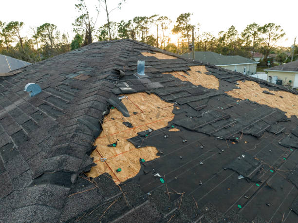 Best Roof Leak Repair  in Williams, CA